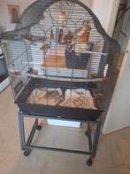 Cage 4 oiseaux canaries, Animaux & Accessoires, Enlèvement ou Envoi, Comme neuf