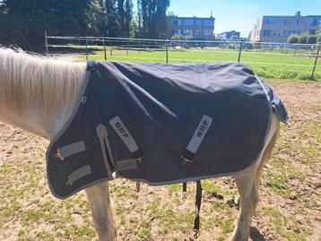 Une couverture pour poney disponible aux enchères