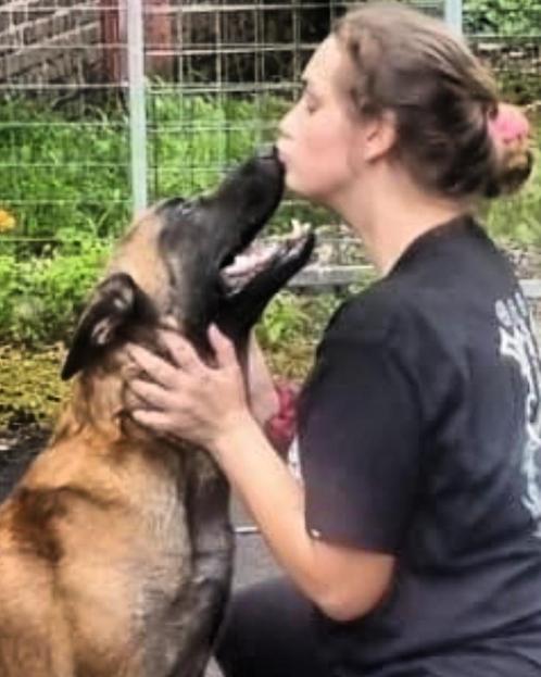 Honden uitlaatster/training, Diensten en Vakmensen, Dieren | Honden | Verzorging, Oppas en Les, Training of Cursus, Uitlaatservice