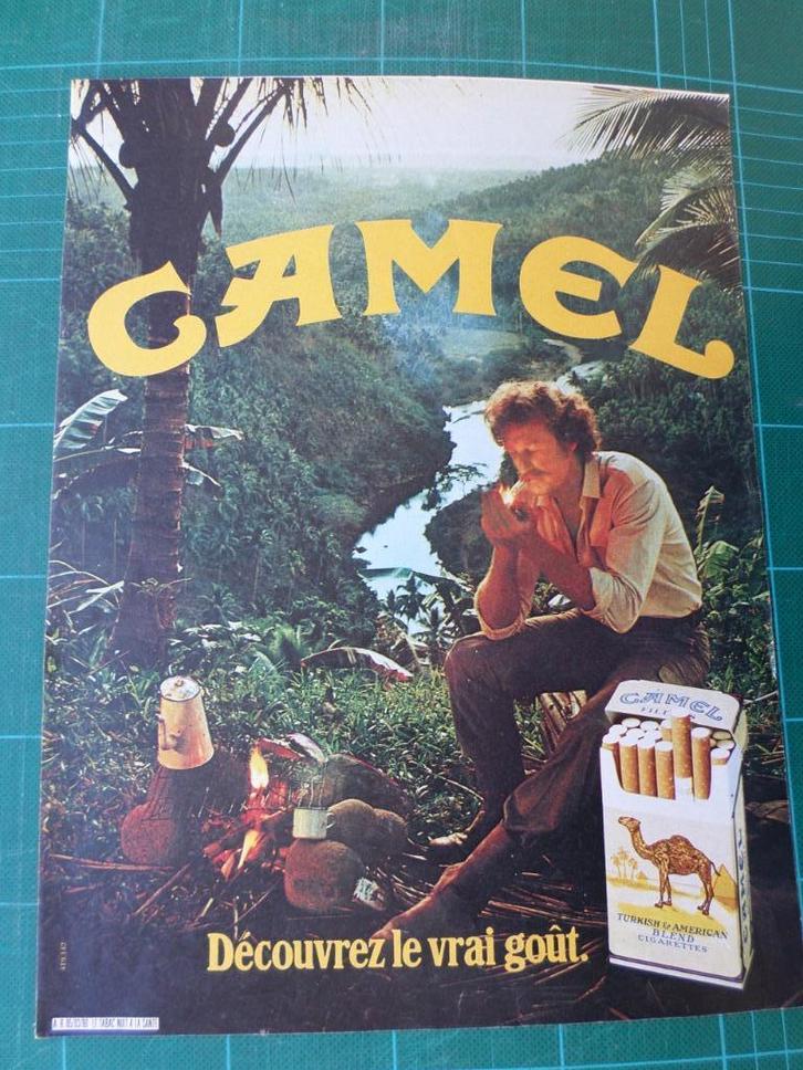 Camel cigarettes - publicité papier - 1981, Verzamelen, Merken en Reclamevoorwerpen, Gebruikt, Overige typen, Ophalen of Verzenden