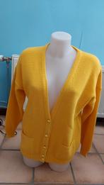 VEST MET HOGE HALSLIJN - HET MODEL IS 82 CM LANG, Kleding | Dames, Ophalen of Verzenden, Gedragen, Maat 38/40 (M), Geel