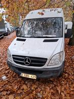 Mercedes Sprinter 313CDI, Autos, Camionnettes & Utilitaires, Achat, 3 places, Boîte manuelle, 96 kW