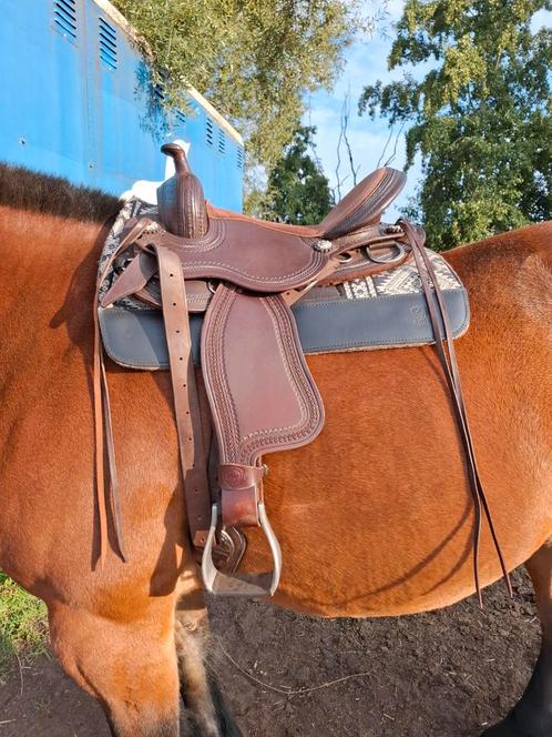 Edix django boomloos western zadel, Dieren en Toebehoren, Paarden en Pony's | Hoofdstellen en Tuigage, Zo goed als nieuw, Western
