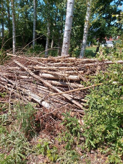 Brandhout, Tuin en Terras, Brandhout, Ophalen