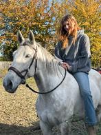 Intressen om in mijn video te kome?, Dieren en Toebehoren, Ophalen of Verzenden, Zo goed als nieuw