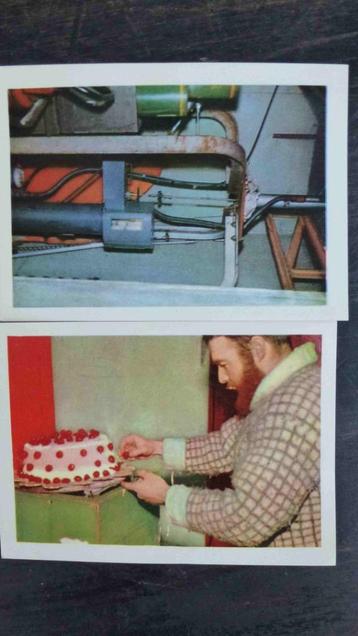 Côte d'Or 4 prentjes Antarctic nrs : 98 108 110 126  beschikbaar voor biedingen