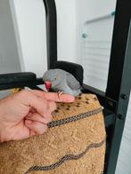 Halsband parkiet heel mooi man, Dieren en Toebehoren, Vogels | Parkieten en Papegaaien, Parkiet