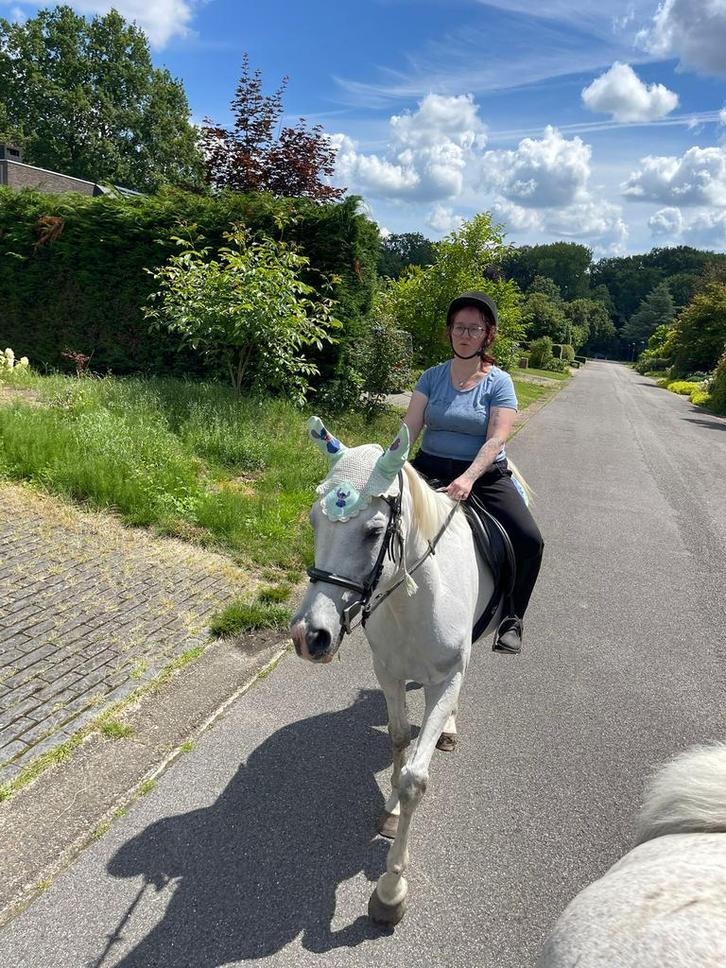 Paard / pony ter adoptie gevraagd, Dieren en Toebehoren, Paarden