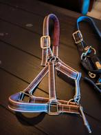 Licol, Animaux & Accessoires, Chevaux & Poneys | Brides & Harnachement, Enlèvement ou Envoi, Comme neuf