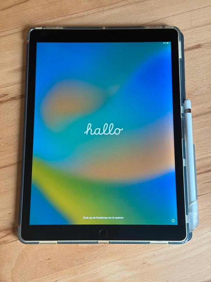 Apple iPad Pro 32cm diagonaal met veel  apple  toebehoren, Computers en Software, Apple iPads, Overige modellen, Wi-Fi, 12 inch