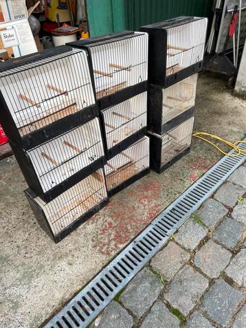 Lot 9 stuks vogelkooien beschikbaar voor biedingen