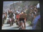 wielerkaart 1976 lbl  team molteni joseph bruyere signe, Comme neuf, Envoi