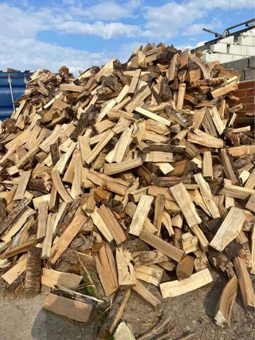 Bois de chauffage sec (coupé en 45 cm) avec livraison inclus beschikbaar voor biedingen