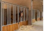 Opfok, veulen jaarling, twenter, Dieren en Toebehoren, Stalling en Weidegang, Opfok, 4 paarden of pony's of meer