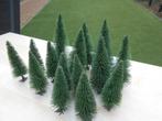 set met 15 stuks supermooie grote dennen bomen, Ophalen of Verzenden, Zo goed als nieuw, Natuur