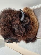 Opgezette Bizonkoppen, Antiek en Kunst, Ophalen