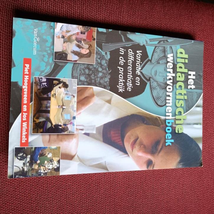 P. Hoogeveen - Het didactische werkvormenboek, Boeken, Wetenschap, Zo goed als nieuw, Ophalen of Verzenden