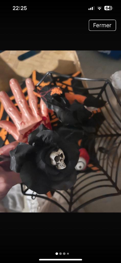 Gros lot d’Halloween deco, Divers, Lots de brocante, Utilisé, Enlèvement