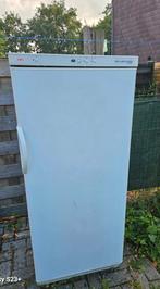 Aeg diepvries 270liter, Ophalen, Gebruikt