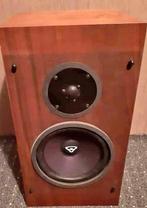 Cerwin vega R10, Ophalen, Zo goed als nieuw