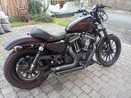 Harley Davidson Iron 883, Motoren, 2 cilinders, Sportuitlaat, 883 cc, Particulier