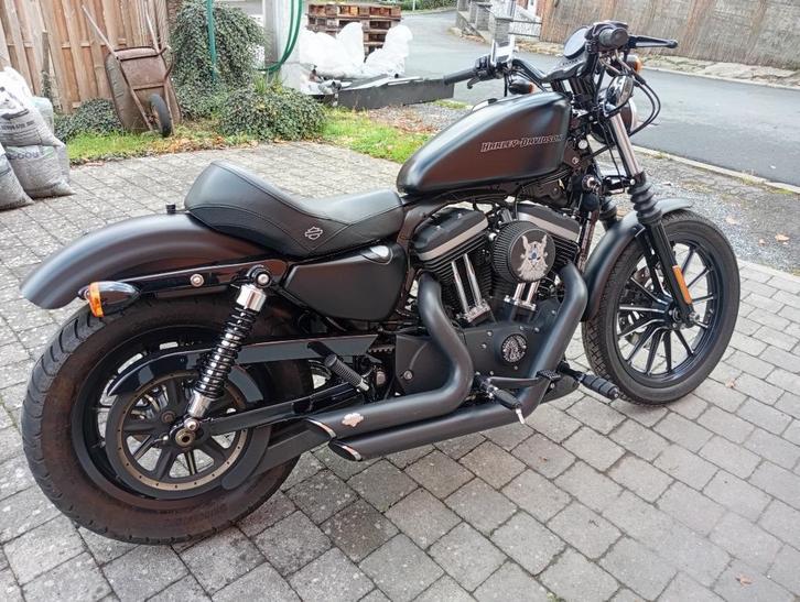 Harley Davidson iron 883, Motos, Motos | Harley-Davidson, Particulier, Chopper, plus de 35 kW, 2 cylindres, Permis Moto A, Échappement sport