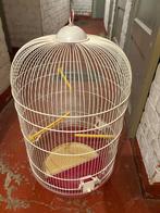 Cage à oiseaux, Animaux & Accessoires, Enlèvement, Comme neuf, Cage à oiseaux