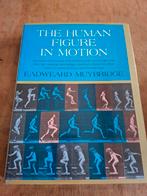 Eadward Muybridge: The human figure in motion, Ophalen, Gelezen, Schilder- en Tekenkunst, Eadward Muybridge