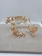 Swarovski SCS 2010 Tijger met 2 jongen., Verzamelen, Swarovski, Ophalen of Verzenden