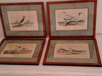 Antieke litografies van antiquariaat sanderus, Antiek en Kunst, Kunst | Litho's en Zeefdrukken, Ophalen