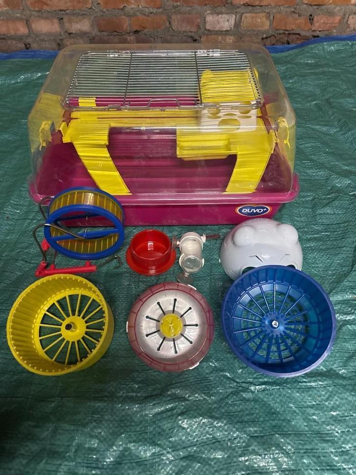 Cage pour rongeur 50x38x25cm, Dieren en Toebehoren, Overige Dieren-accessoires, Gebruikt, Ophalen