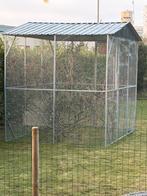 Vogeltjes gezocht voor voleire, Dieren en Toebehoren