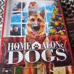 Home alone dogs dvd in nieuwstaat krasvrij 4eu, Alle leeftijden, Ophalen of Verzenden, Zo goed als nieuw, Dieren