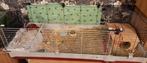 Cavia kooi krolik 160., Dieren en Toebehoren, Ophalen, Kooi, 110 cm of meer, Zo goed als nieuw