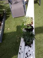 plantengoot 3.70mlengte, Ophalen, Gebruikt