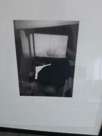 Litho fenêtres - Luc Tuymans + boek, Antiek en Kunst, Kunst | Litho's en Zeefdrukken, Ophalen