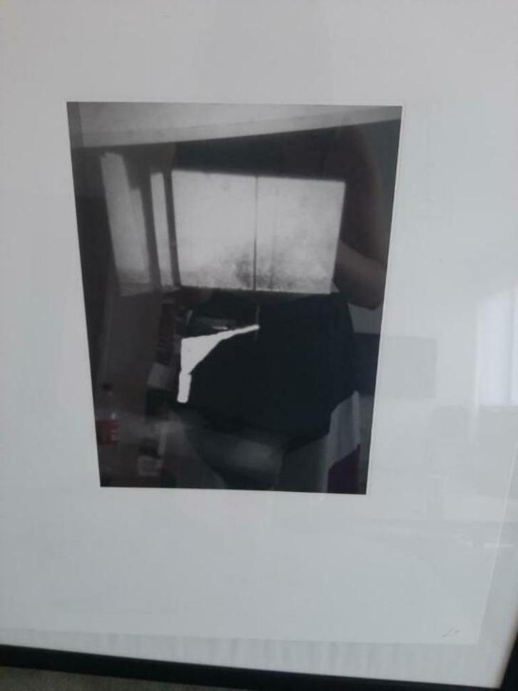 Litho fenêtres - Luc Tuymans + boek, Antiek en Kunst, Kunst | Litho's en Zeefdrukken, Ophalen