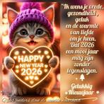 Mainecoon kittens, Chat, Vermifugé, 0 à 2 ans