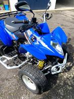 Quad maxxer 300, 1 cilinder, 300 cc
