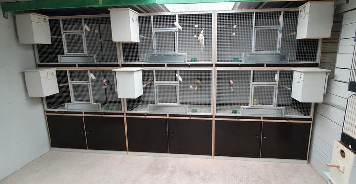 kweekkooien  met onderkast, Dieren en Toebehoren, Vogels | Hokken en Kooien, Gebruikt, Broedkooi of Kweekkooi, Aluminium, Ophalen