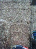 stro, Ophalen of Verzenden