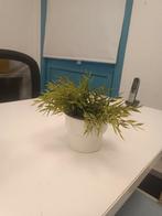 Kunst plant in pot ikea, Ophalen