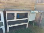 2 cavia’s met kooi, Ophalen, Kooi, 90 cm of meer, Cavia