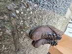 Werkschoenen bouw maat 41, Ophalen, Werkschoenen