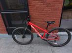 Vélo de montagne Rockhopper Specialized, Autres marques, VTT semi-rigide, Enlèvement, Utilisé