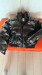 TOMMY JEANS donsjas 65 € Maat L, Kleding | Dames, Wintersportkleding, Maat 42/44 (L), Nieuw, Ophalen of Verzenden, Jack