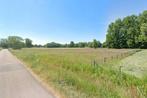 TE koop weiland, Immo, HAMONT-ACHEL, Verkoop zonder makelaar, 1500 m² of meer