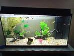 Juwel aquarium 110 l, Dieren en Toebehoren, Ophalen of Verzenden, Zo goed als nieuw