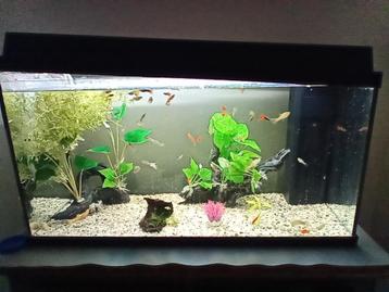 Juwel aquarium 110 l beschikbaar voor biedingen