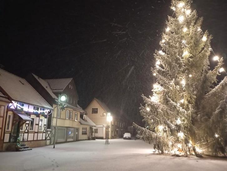 Kerstmis of najaar Vakantiehuis in de Harz te huur, Vakantie, Vakantie | Aanbiedingen en Last minute